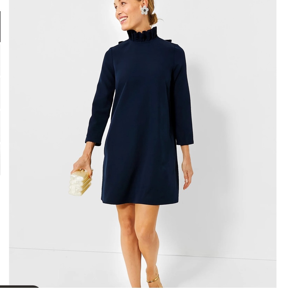 Navy Daphne Dress Tuckernuck
